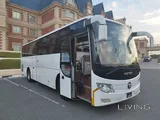 Direct Transportation from Doha to Saudi Arabia